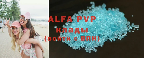 прущие грибы Армянск