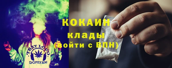 прущие грибы Армянск