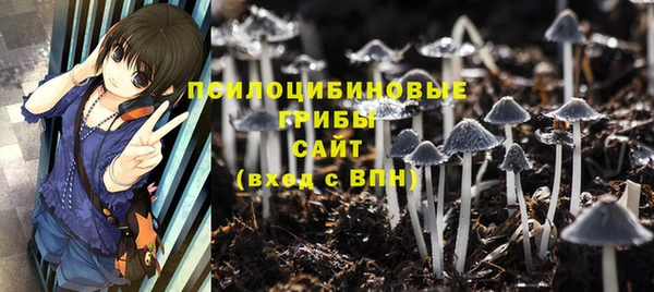 ALPHA PVP Арсеньев