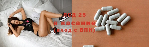 прущие грибы Армянск