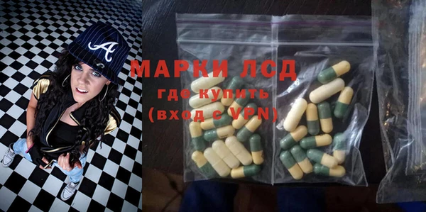 прущие грибы Армянск