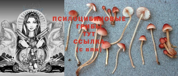 ALPHA PVP Арсеньев